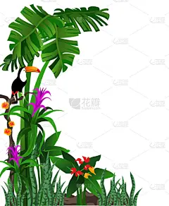 用鲜花和大嘴鸟热带森林的背景插图