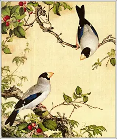清代宫廷画师郎世宁工笔花鸟画欣赏！【书画典藏】
