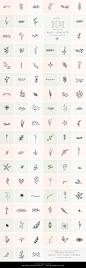 PNG 101 Hand Drawn Botanical Element : Important: --- Please note, this kit is a PNG alternative of my '101 Hand Drawn Botanical Elements'. If you would like to purchase the original EPS/PSD kit you can do so using this link: ---
