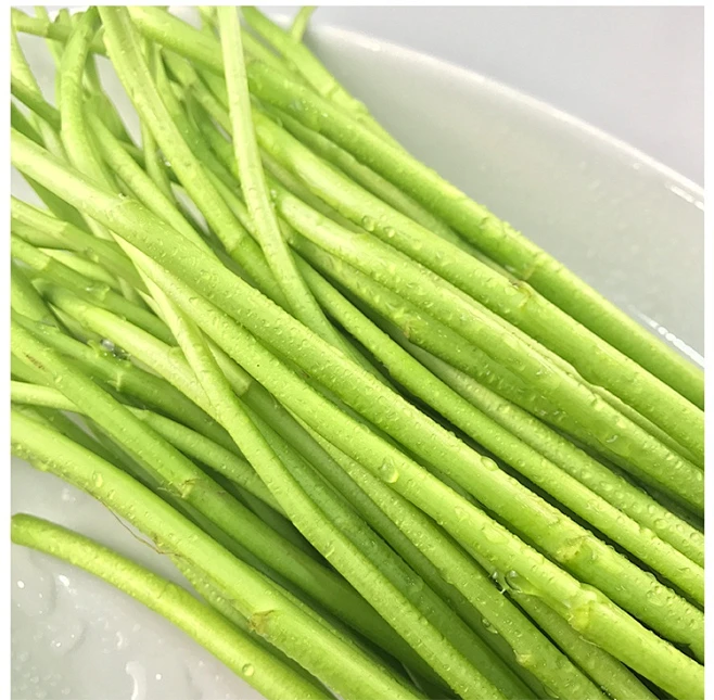 南京芦蒿去根带叶3特产野菜黎耗藜蒿农家篱蒿泥蒿新鲜蔬菜现采-tmall.com天猫-花瓣网