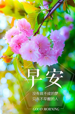晨曦残雨采集到早安海报
