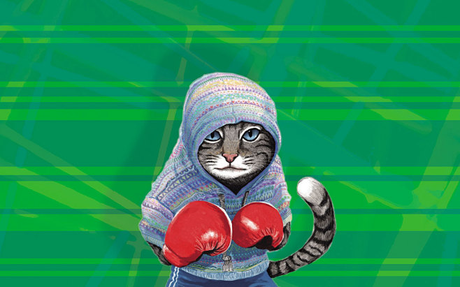 拳击猫