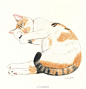 猫 (2)