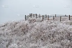 冬天来了。风景如画的雾蒙蒙的日出前景色，在深秋的山乡，草，树，斜坡上有白霜。乌克兰,喀尔巴阡山脉。