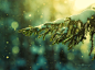 Bokeh : Photo series wrapped around the theme of bokeh - one of my most photographed motif in nature.