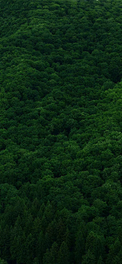 津巴布韦小王子采集到风景