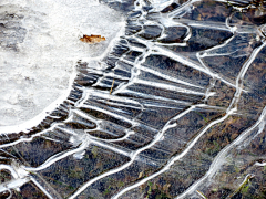 喵了个咪的昵称竟然已经存在了采集到A场景—冰雪