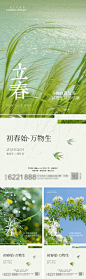 立春节气系列海报-志设网-zs9.com