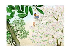 孔雀插画_新浪博客