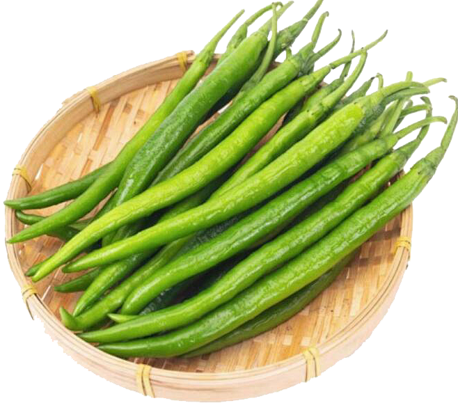 线椒