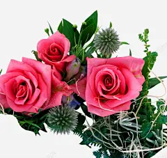 手绘花卉 花 花型图案 蓝色花型 元素 免抠png 设计图片 免费下载 页面网页 平面电商 创意素材