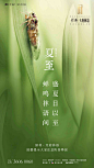 夏至