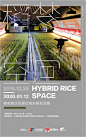 “稻梦空间”来啦！中国银联把海水稻种进了地铁站