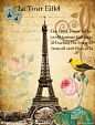 法国建筑 埃菲尔铁塔 花朵 手绘花 风情 花卉 花纹 鸟 旧纸张 邮票 邮章