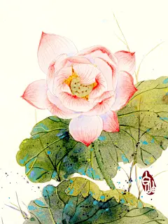 古言·唯美古风·插画壁纸  花卉 作者：白岫