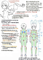 人体动态