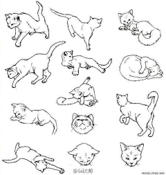 08QLzwNs采集到画