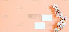粉红色背景上的名片空白模板和杏花枝。空白卡为您的标志，品牌，网站地址或更多信息。俯视图，横幅照片。