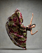 舞之息：流动的身体丨时尚摄影师Ken Browar作品【409P】