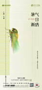 小暑节气海报