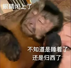 吗喽表情包 - 小红书