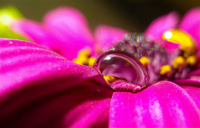Droplet | Flickr – 相...