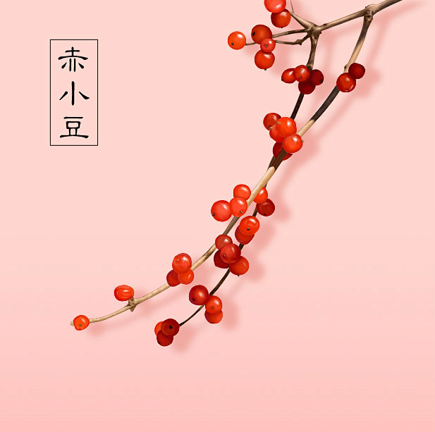 手绘小红豆