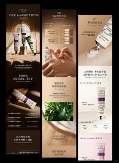 7A+++++++采集到薰衣草