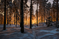 #寒冬夜行人# Between two worlds by Mikko Lagerstedt