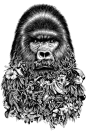 Le Gorille : Gorilla,Pencil on cansonFor AMI.http://amiparis.fr/
