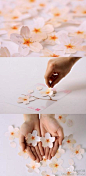 韩国设计师 Sangwoo 设计的最新的樱花便签的样式，配合各式各样的树枝的话，营造可爱~