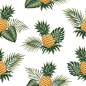 Seamless pattern with exotic palm leaves and pineapples isolated on white background