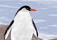 冰天雪地间，你是唯一的暖。

#南极##冬##鹅厂##绘本##儿童插画#插画超话 ​​​​