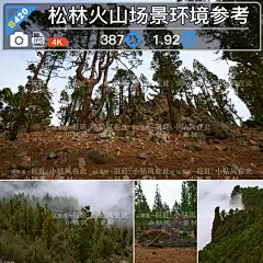 高清松林火山摄影素材 松树林背景环境插画影视游戏场景概念设计-淘宝网
