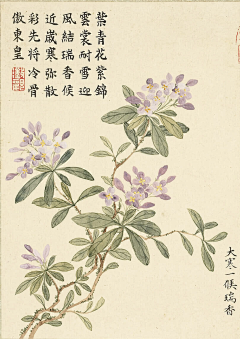 ZyV0mfU0采集到花草绘