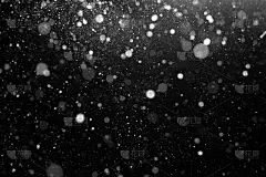 天空,夜晚,大雪,黑色背景,飞