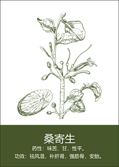 零速5s采集到植物线稿