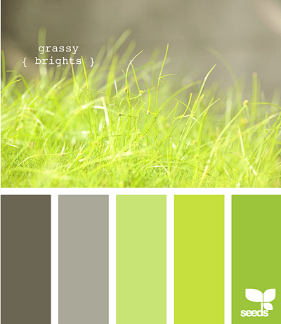 grassy brights