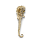 超高清 海星 海螺 贝壳 珊瑚 海马等 航洋生物主题 png元素 seahorse-1