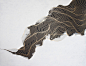 Tracie Cheng Art : tracie cheng: abstract acrylic, oil, wood, monoprints, mixed media, experimental