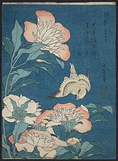 日本 葛饰北斋 牡丹和金丝雀87x63