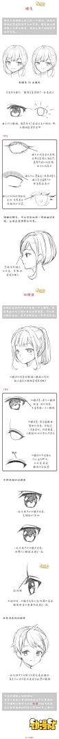 西瓜Ann采集到漫画教程(18图)_花瓣动漫: