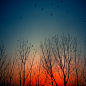     CameraCanon EOS 50D
    Focal Length50 mm
    Shutter Speed1/1250 sec.
    Aperture1.4
    ISO/Film100

    Category Landscapes
    Uploaded January 31st 2012
    Taken January 8th 2012
    CopyrightLuis Mariano González
