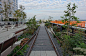 纽约高线公园植物设计High Line by 奥多夫Piet Oudolf-mooool设计