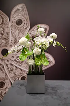 春暖花开之际在北京CHAO Hotel，朗格举办了Media &amp; VIP活动及晚宴。晚宴在清新优雅的环境之中愉悦的进行。为了烘托这样的氛围，我们选用独钟的白兰花，洋牡丹和绿掌简单素雅的花材搭配。白绿色相间的花植造型搭配银灰色餐具，在高贵中露出一些自然清新之意。 @lengMOSSdesign #朗格手表# #朗格#  ​​​​...展开全文c