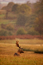 Photograph waiting in the rain by Mark Bridger on 500px