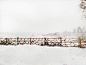 雪, 标题, 风景