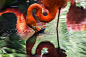 animal, avian, bird