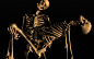 skeletal skeletons wallpaper (#1609388) / Wallbase.cc