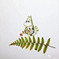 【叶的升华： Helen Ahpornsiri树叶拼贴精美插画作品】
英国艺术家Helen Ahpornsiri是一名特别的艺术创作者她从森林里捡来蕨类植物的叶子，通过自己精心的裁切、组合一片片叶子化作一幅幅美妙的画。